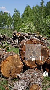 信用卡逾期多久才會(huì)算壞賬(信用卡逾期多久才會(huì)算壞賬)