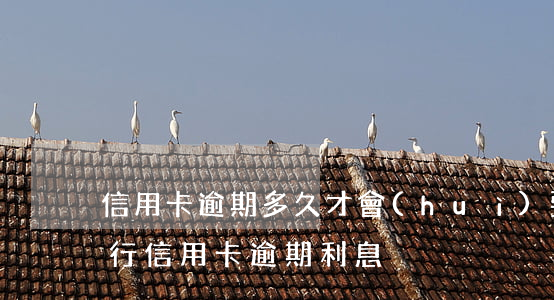 信用卡逾期多久才會(huì)要利息(各銀行信用卡逾期利息)
