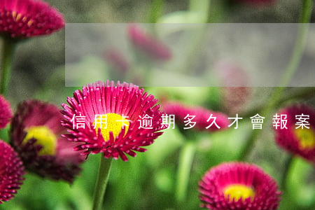 信用卡逾期多久才會報案(信用卡 逾期多久)