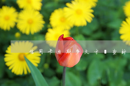 信用卡逾期多久才會查封房子
