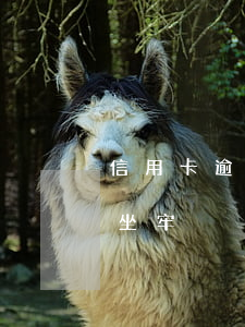 信用卡逾期多久才會白(欠信用卡逾期多久會坐牢)