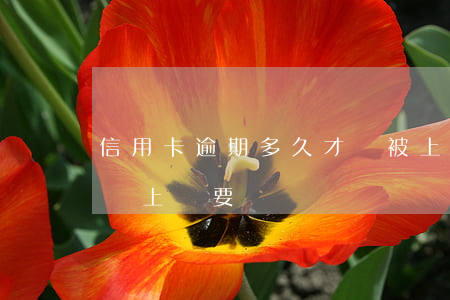 信用卡逾期多久才會被上門(請問信用卡逾期會上門要嗎)
