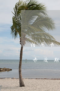 信用卡逾期多久才會被列入老賴行為-信用卡逾期多久才會被列入老賴行為呢