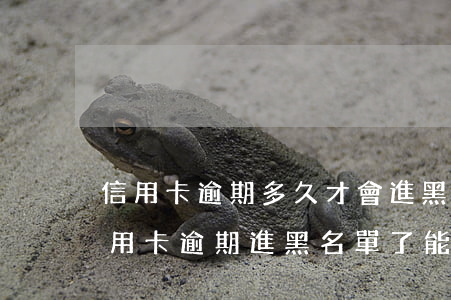 信用卡逾期多久才會進黑名單 朋友用我的信用卡逾期進黑名單了能告他嗎