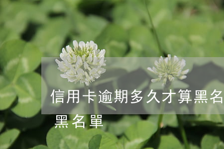 信用卡逾期多久才算黑名單6(逾期多少次算黑名單)