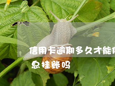 信用卡逾期多久才能停息挂账 逾期了可以停息挂账吗