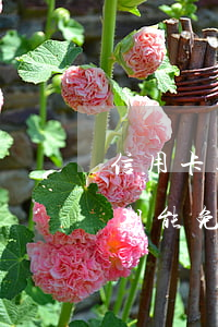信用卡逾期多久才能免利息(坐牢了信用卡逾期能免利息嗎)