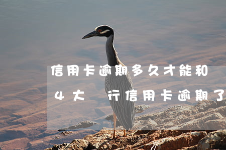 信用卡逾期多久才能和銀行協(xié)商(4大銀行信用卡逾期了可以協(xié)商嗎?)