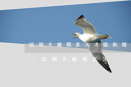 信用卡逾期多久才能恢復(fù)正常使用-信用卡 逾期多久