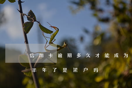 信用卡逾期多久才能成为黑户(我信用卡逾期半年了是黑户吗)