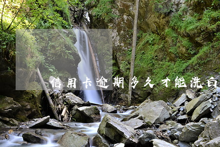 信用卡逾期多久才能洗白 有逾期幾年會洗白