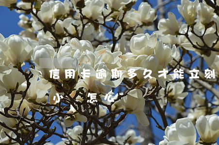 信用卡逾期多久才能立刻(信用卡逾期了幾個小時怎么辦)