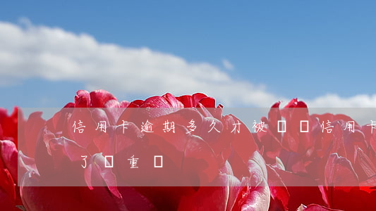 信用卡逾期多久才被凍結(信用卡逾期被凍結了嚴重嗎)
