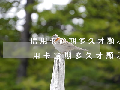 信用卡逾期多久才顯示三個(gè)月-信用卡逾期多久才顯示三個(gè)月未還