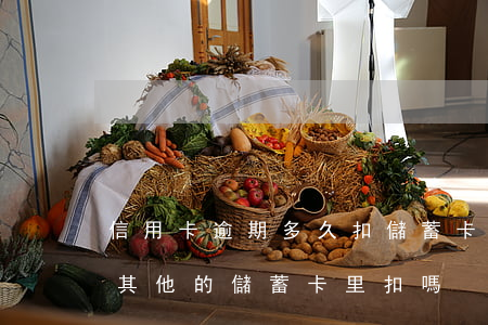 信用卡逾期多久扣儲蓄卡(逾期的信用卡會從其他的儲蓄卡里扣嗎)