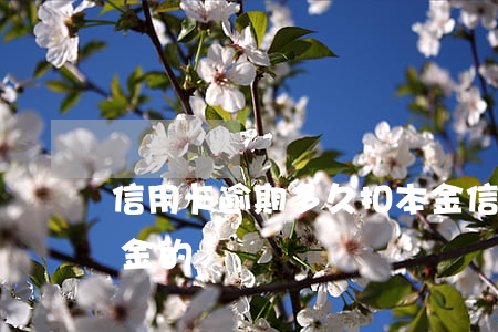 信用卡逾期多久扣本金(信用卡逾期多久扣本金的)