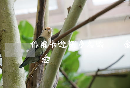 信用卡逾期多久收違約金嗎(逾期幾天會收違約金)