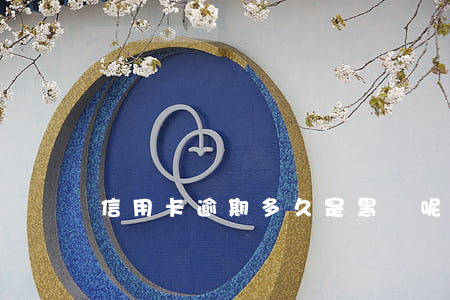 信用卡逾期多久是黑戶呢(逾期多久會成為黑戶?)