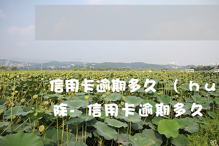 信用卡逾期多久會(huì)上征信怎么消除-信用卡 逾期多久