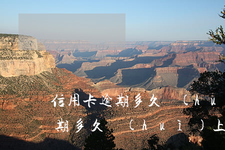 信用卡逾期多久會(huì)上征(信用卡逾期多久會(huì)上征信會(huì)坐牢嗎)