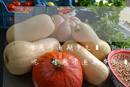信用卡逾期多久會(huì)上黑名單征信呢-信用卡逾期多久會(huì)上黑名單征信呢怎么辦