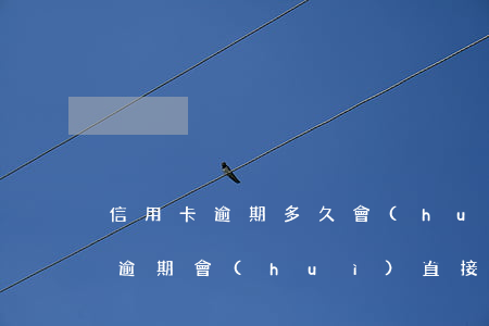 信用卡逾期多久會(huì)來抓人(信用卡逾期會(huì)直接抓人嗎)