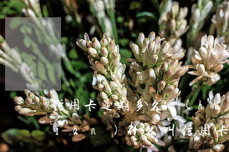 信用卡逾期多久會(huì)信用污點(diǎn)(什么叫信用卡逾期了)