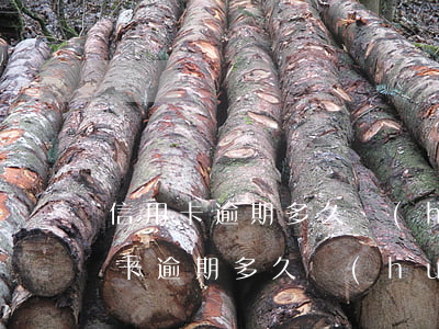信用卡逾期多久會(huì)停止罰息(信用卡逾期多久會(huì)停止罰息)