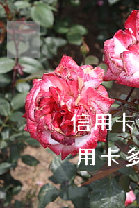 信用卡逾期多久會(huì)全款催收(欠信用卡多久會(huì)被催收)