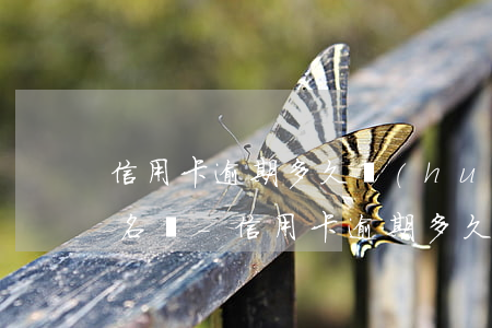 信用卡逾期多久會(huì)列入失信者黑名單-信用卡逾期多久會(huì)列入失信者黑名單呢