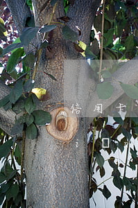 信用卡逾期多久會(huì)刪掉黑點(diǎn)(逾期全部還完黑點(diǎn)會(huì)恢復(fù)嗎)