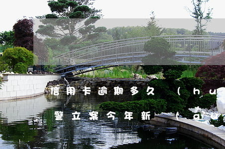 信用卡逾期多久會(huì)報(bào)警立案(今年新規(guī)定信用卡逾期多久會(huì)起訴)