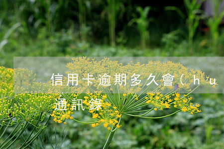信用卡逾期多久會(huì)報(bào)通訊錄