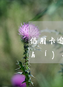 信用卡逾期多久會(huì)失信被執(zhí)行(信用卡逾期多久會(huì)失信被執(zhí)行人)