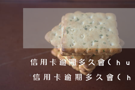 信用卡逾期多久會(huì)影響征信忘記(信用卡逾期多久會(huì)影響征信忘記密碼)