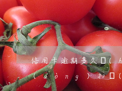 信用卡逾期多久會(huì)從銀行卡自動(dòng)扣錢(qián)-信用卡逾期多久會(huì)從銀行卡自動(dòng)扣錢(qián),錢(qián)太少了會(huì)不扣