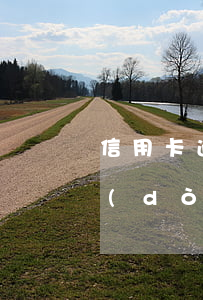 信用卡逾期多久會(huì)從銀行卡自動(dòng)扣錢-信用卡逾期多久會(huì)從銀行卡自動(dòng)扣錢,錢太少了會(huì)不扣