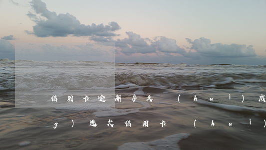 信用卡逾期多久會(huì)成網(wǎng)逃(欠信用卡會(huì)成網(wǎng)逃嗎)