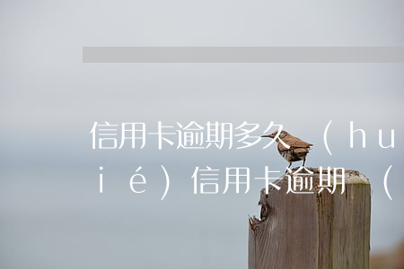 信用卡逾期多久會(huì)把卡凍結(jié)(信用卡逾期時(shí)間長了凍結(jié)了怎么處理)