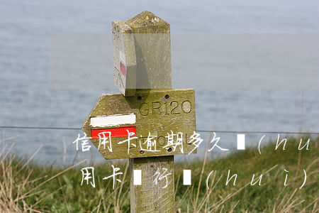 信用卡逾期多久會(huì)拍賣房子(欠信用卡銀行會(huì)把你的房子拍賣了嗎)