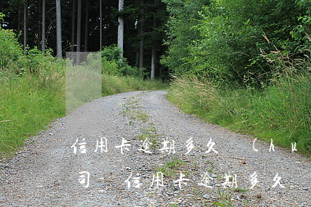 信用卡逾期多久會(huì)提交給催債公司-信用卡逾期多久會(huì)提交給催債公司呢