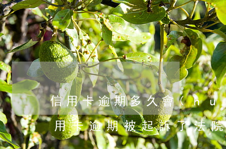 信用卡逾期多久會(huì)收到傳票(欠信用卡逾期被起訴了 法院寄傳票寄到哪里)