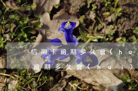 信用卡逾期多久會(huì)有不良記錄-逾期多久會(huì)產(chǎn)生不良記錄