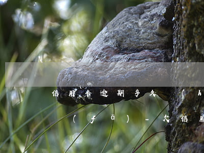 信用卡逾期多久會(huì)有不良記錄廣發(fā)-欠信用卡逾期多久會(huì)上征信