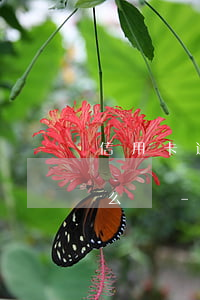 信用卡逾期多久會(huì)有不良記錄怎么辦-信信用卡逾期多久會(huì)上征信