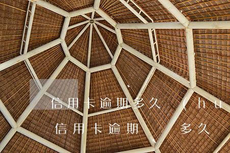信用卡逾期多久會(huì)有信用記錄-信用卡逾期記錄多久會(huì)消
