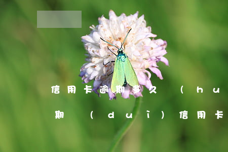 信用卡逾期多久會(huì)有影響(貸款逾期對(duì)信用卡會(huì)不會(huì)有影響)