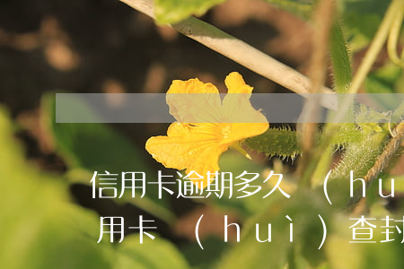 信用卡逾期多久會(huì)查封房子(欠信用卡會(huì)查封房子嗎?沒(méi)辦房產(chǎn)證)