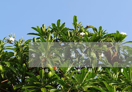 信用卡逾期多久會(huì)消除2018-信用卡逾期多久會(huì)消除2018年的記錄