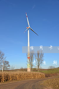 信用卡逾期多久會(huì)清除記錄(銀行卡逾期記錄多久能消)